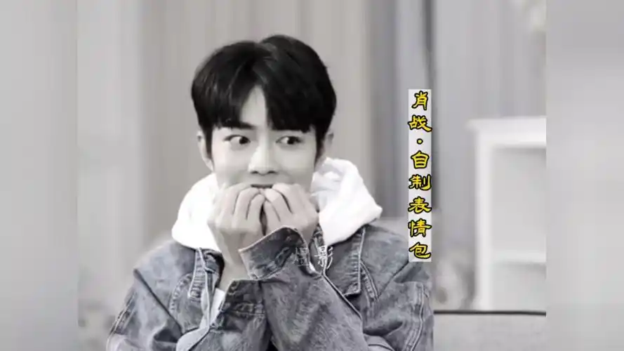 肖战自制表情包,喜欢哪个?