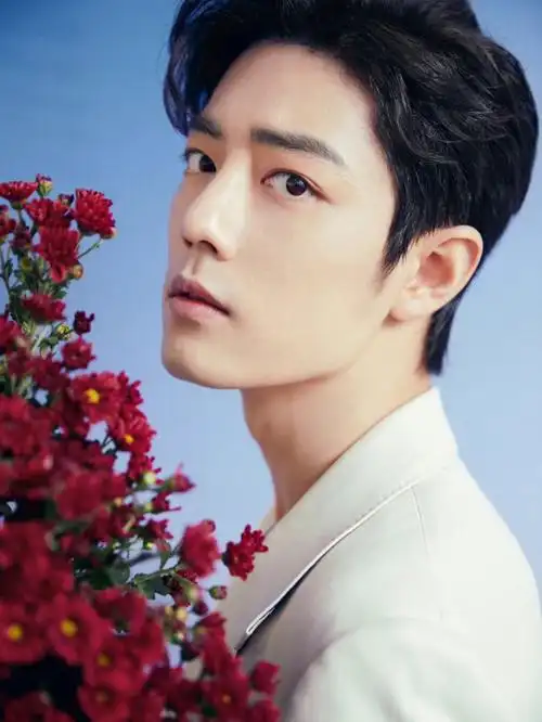 又被肖战帅到了00