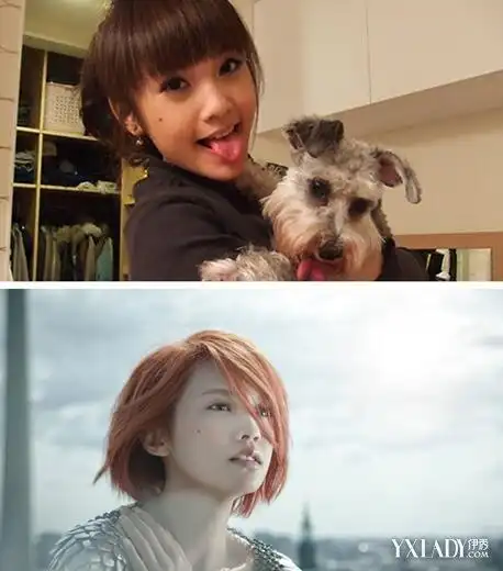 杨丞琳蒙面唱将彰显女王范与李荣浩坠入海河引人注目