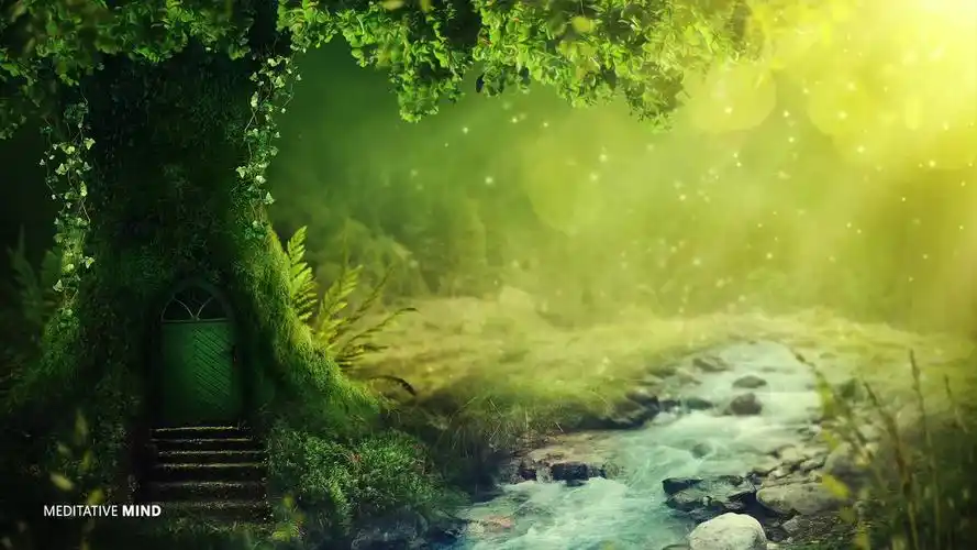 迷人的神秘森林音乐积极的快乐压力缓解音乐声音