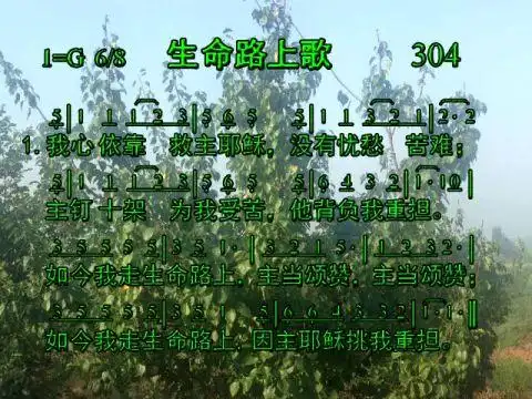 304生命路上歌