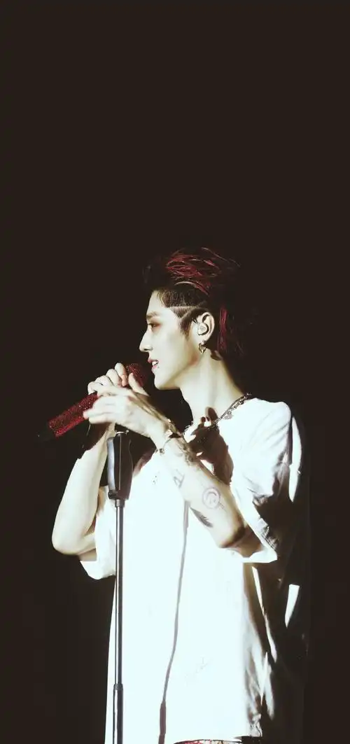 鹿晗壁纸x音乐节