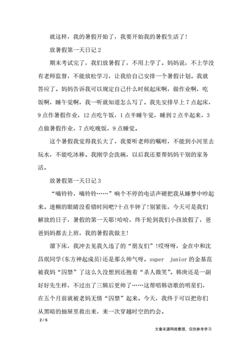 放暑假第一天日记应用文docx5页