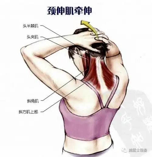 颈部肌肉拉伸久坐办公人员必备