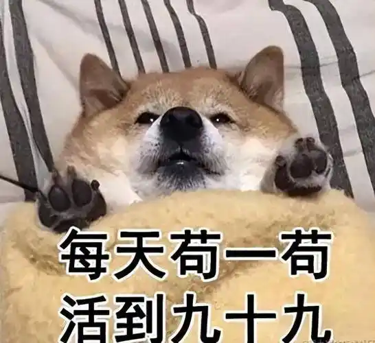 经济不景气,工作不好找:能苟尽量苟着