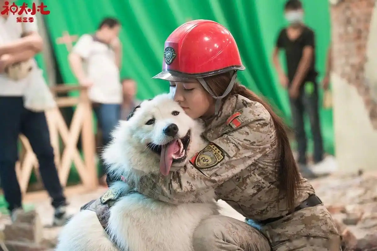 《神犬小七3》今晚就要大结局了,杀青之后还去看过一次雪雪,一见面她