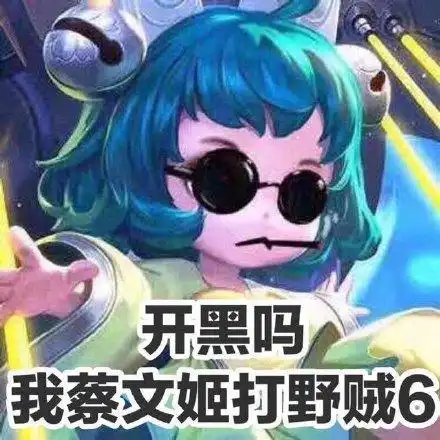 开黑吗我蔡文姬打野贼6_开黑_打野_蔡文姬表情
