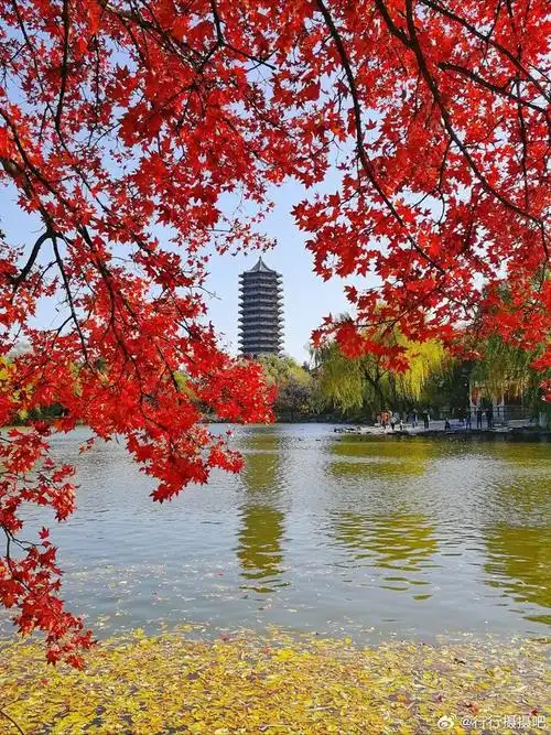 北京大学未名湖畔的秋色摄影