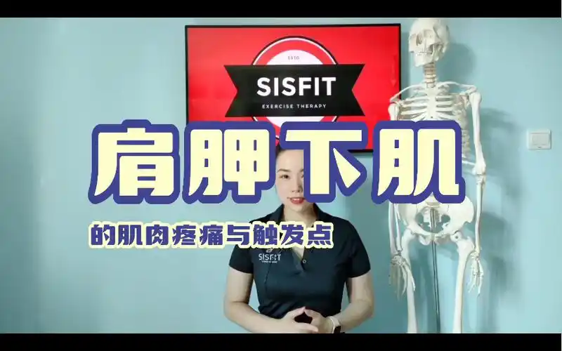 [教学版]肩胛下肌的功能解剖与触发点松解