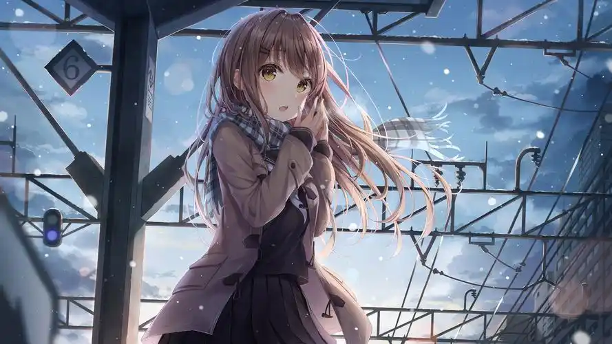 蓝色夜空动漫卡通壁纸