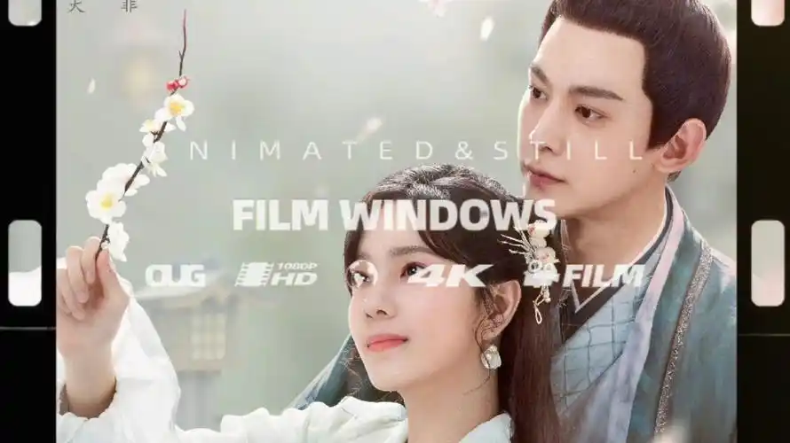 【电视剧】柳叶摘星辰 超清中字 2024……由唐晓天,庄达菲领衔主演的