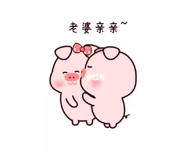 小笨猪秀恩爱一定要看到最后