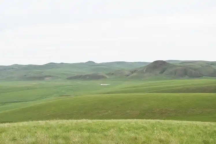2016-7-通辽山地草原