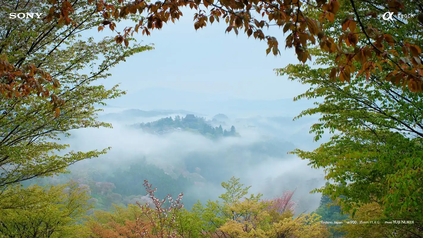 日本吉野山世界最美24小时旅游胜地壁纸高清大图预览1920x1080_风景