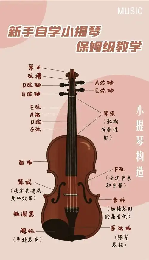 🎻 小提琴,这一世界闻名的乐器,不仅音色美妙,其构造也充满了匠