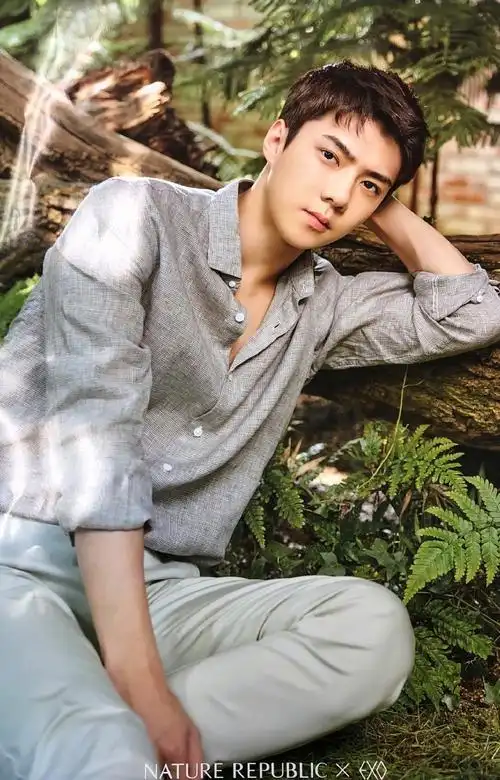 品牌中国地区形象代言人##吴世勋出演电影海盗2#@wu世勋-exo201228