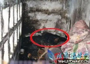 女子被村民活活烧死放火烧死人会判死刑吗