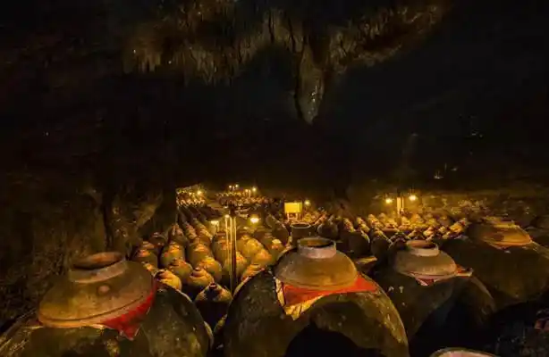 郎酒|五粮液_网易订阅