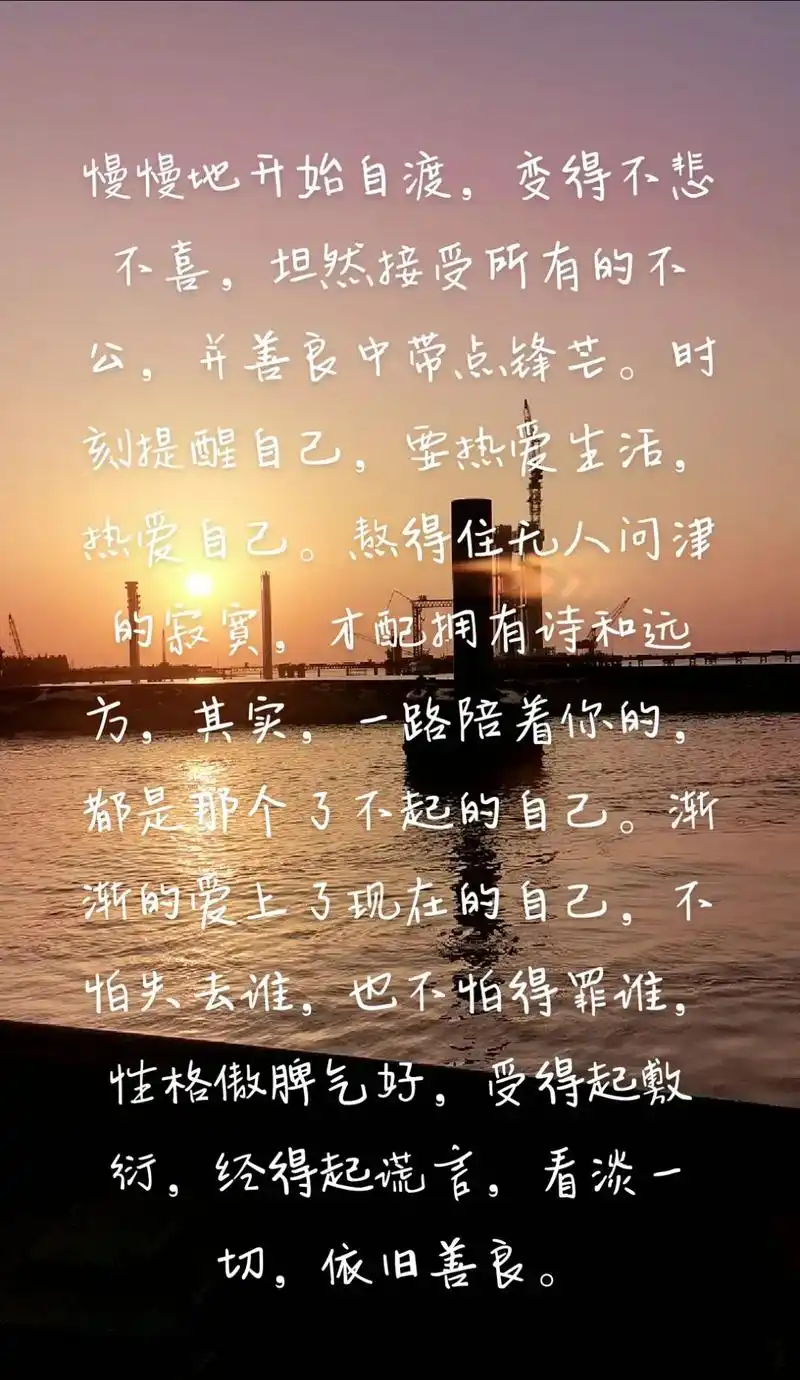 慢慢地开始自渡,变得不悲不喜,坦然接受所有的不公