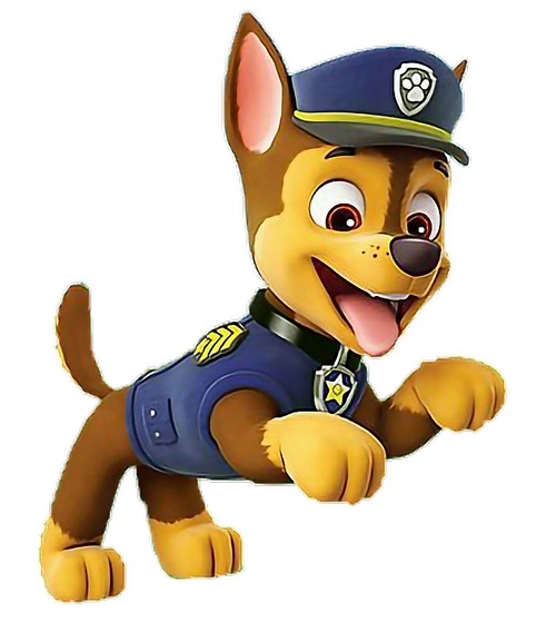 阿奇(chase)是动画片《 a target="_blank" href="/item/汪汪队立大功