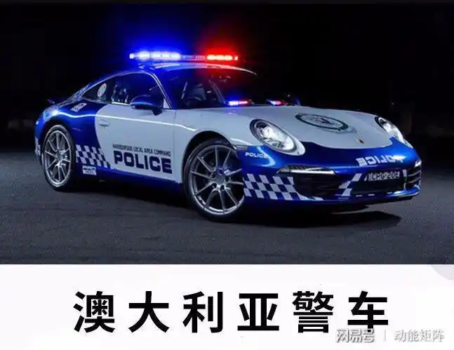 一套关于各国警车的图片网友真是太真实了