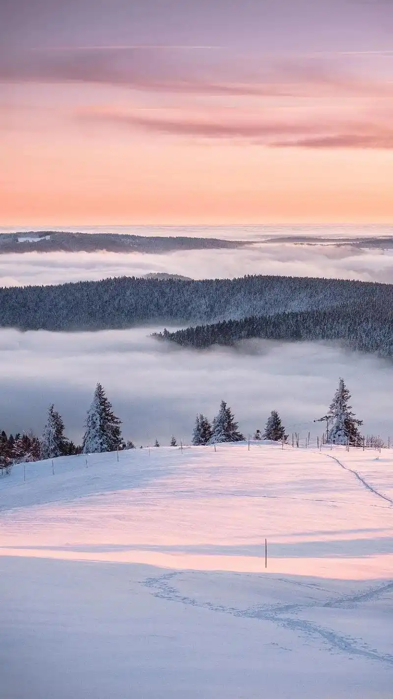华为壁纸 - 彷徨 - 抖音