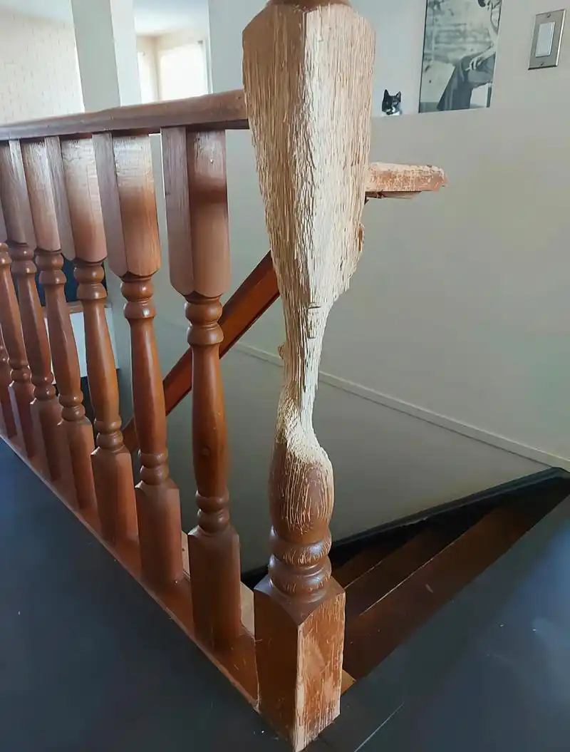 10年了,估计连猫猫也想不到,自己会把这个木头扶手,抓成一件艺术品吧.