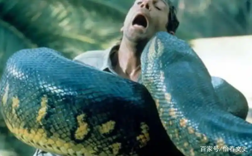 影视剧中的巨蛇吃人