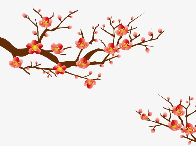 卡通唯美梅花花枝装饰