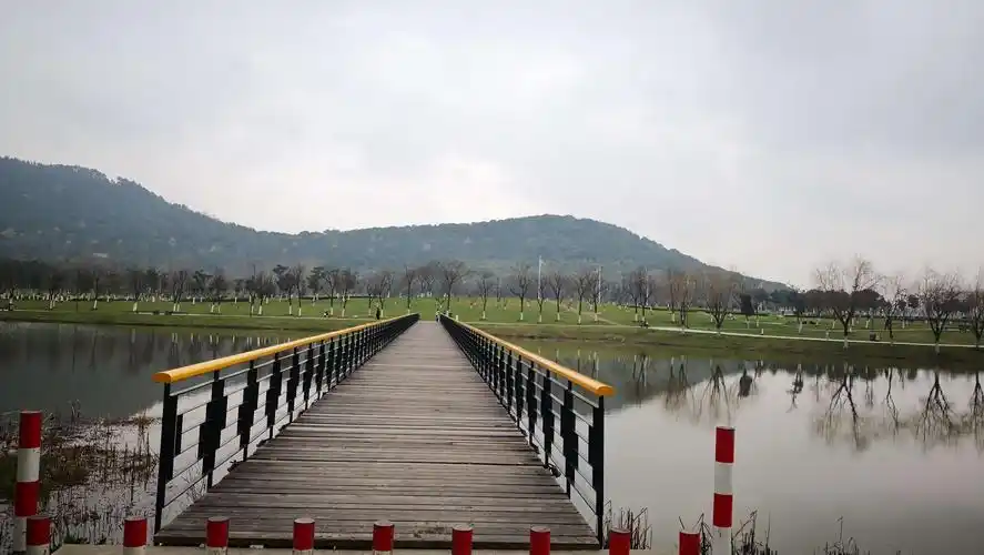 10上午,和夫人开车去江阴人民医院东院(敔山湾),看望因喘息性支气管炎