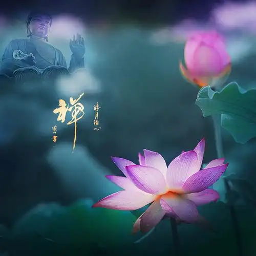 六月荷···花开见佛