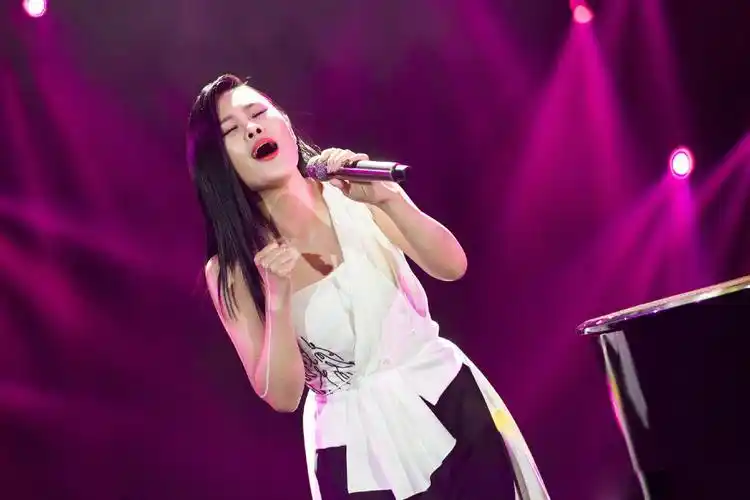 《歌手》面临的争议 - 简书