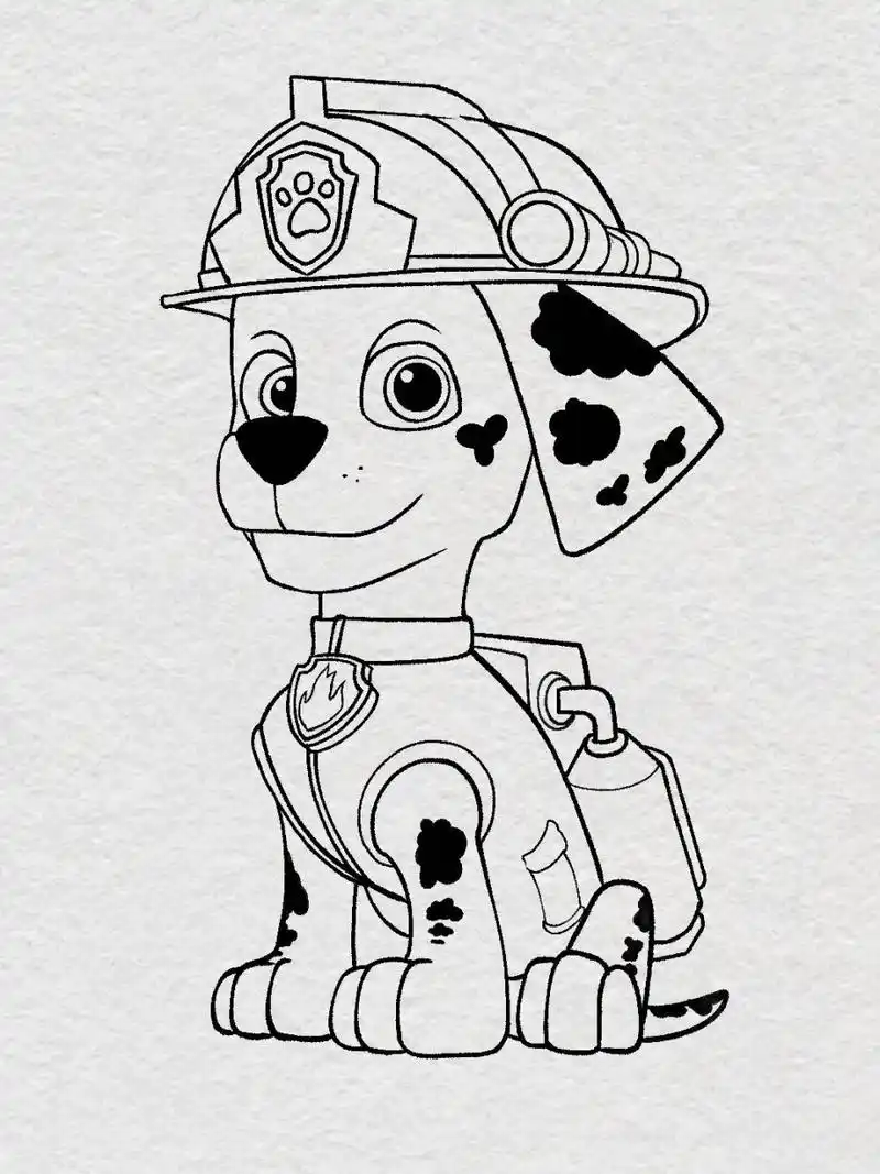 大家催更的汪汪队-毛毛来了