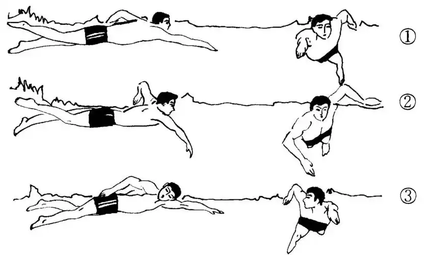 如何正确有效地学习自由泳