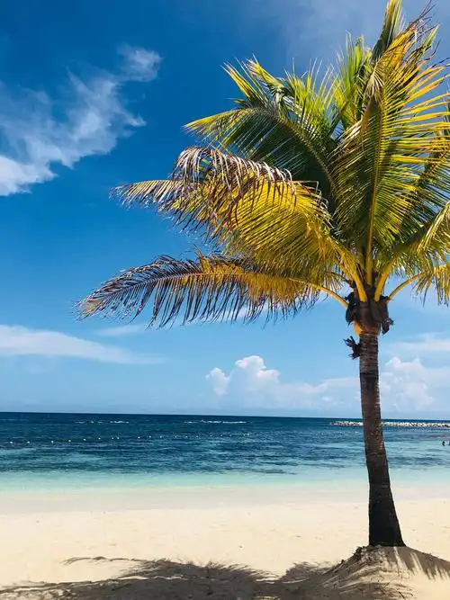 三亚海边吹风,椰子树,看看的天,蓝盈盈的大海,舒服