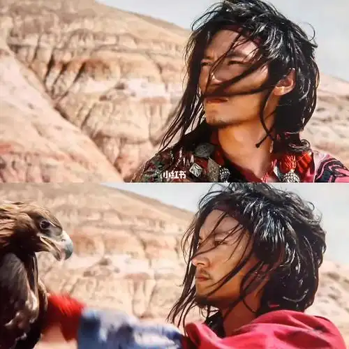 的很好玩特别是张震明明看起来很糙汉很会但是却说着一口奶奶的港台腔