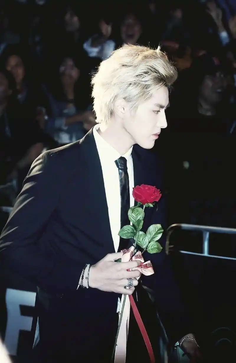 黑发清秀优雅,金发纯真无邪,银发凛冽冷艳自出道以来,吴亦凡踊跃尝试