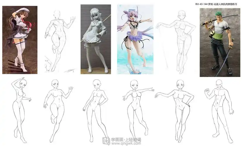 动漫插画基础——站姿人体肌肉穿插练习