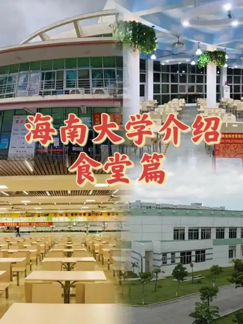 海南大学介绍食堂篇60干饭王必看