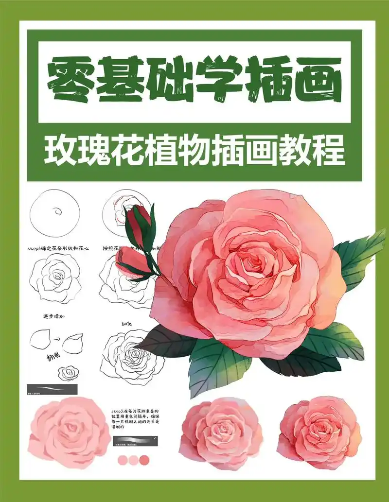 零基础学插画|玫瑰花植物插画教程篇day12 96绘画工具: - 抖音