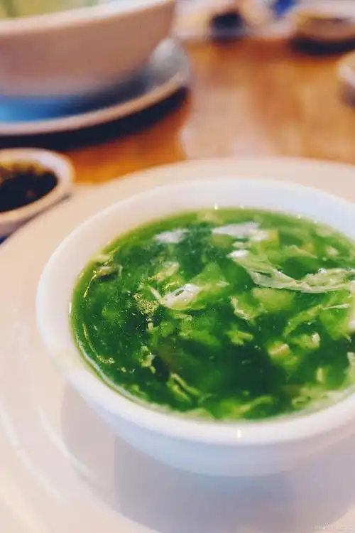 清淡养生,一碗青菜豆腐汤,让你的餐桌充满绿色活力!
