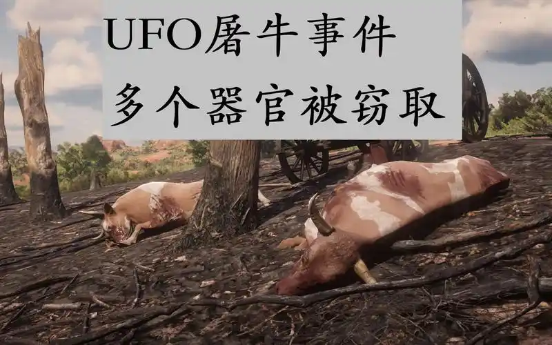 荒野大镖客2ufo屠牛事件外星人窃取器官