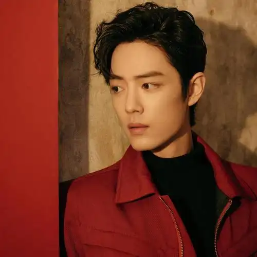 邻家学长肖战帅气头像