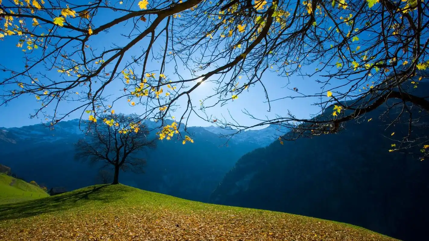 好看的秋天唯美风景秋高气爽图片桌面壁纸高清