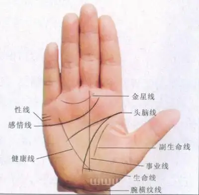 9 财富纹女人痣长哪里最有福气.