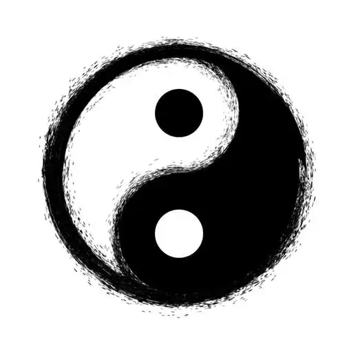 🐟 阴阳鱼的象征与太极图的奥秘 🌿