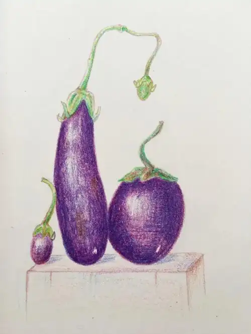 彩铅画茄子