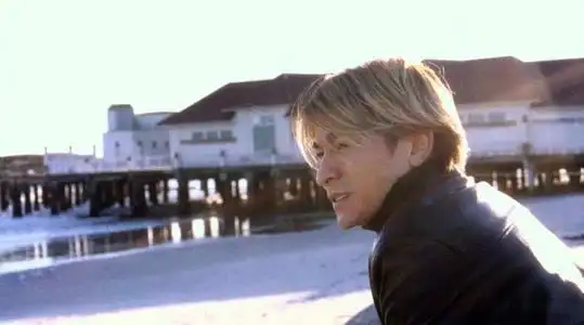 魅力型,大叔型的风格,但是1999年的刘德华那种青春朝气真是非常吸引人