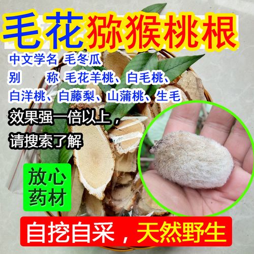 雪峰山野生白藤梨根毛花猕猴桃根毛冬瓜白毛桃洋桃 刀口药石韦苇