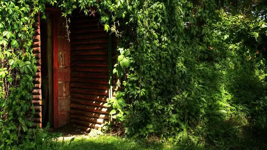 首页 旅游与世界 木房子,门,绿色的植被 壁纸 当前尺寸:1600x900,你